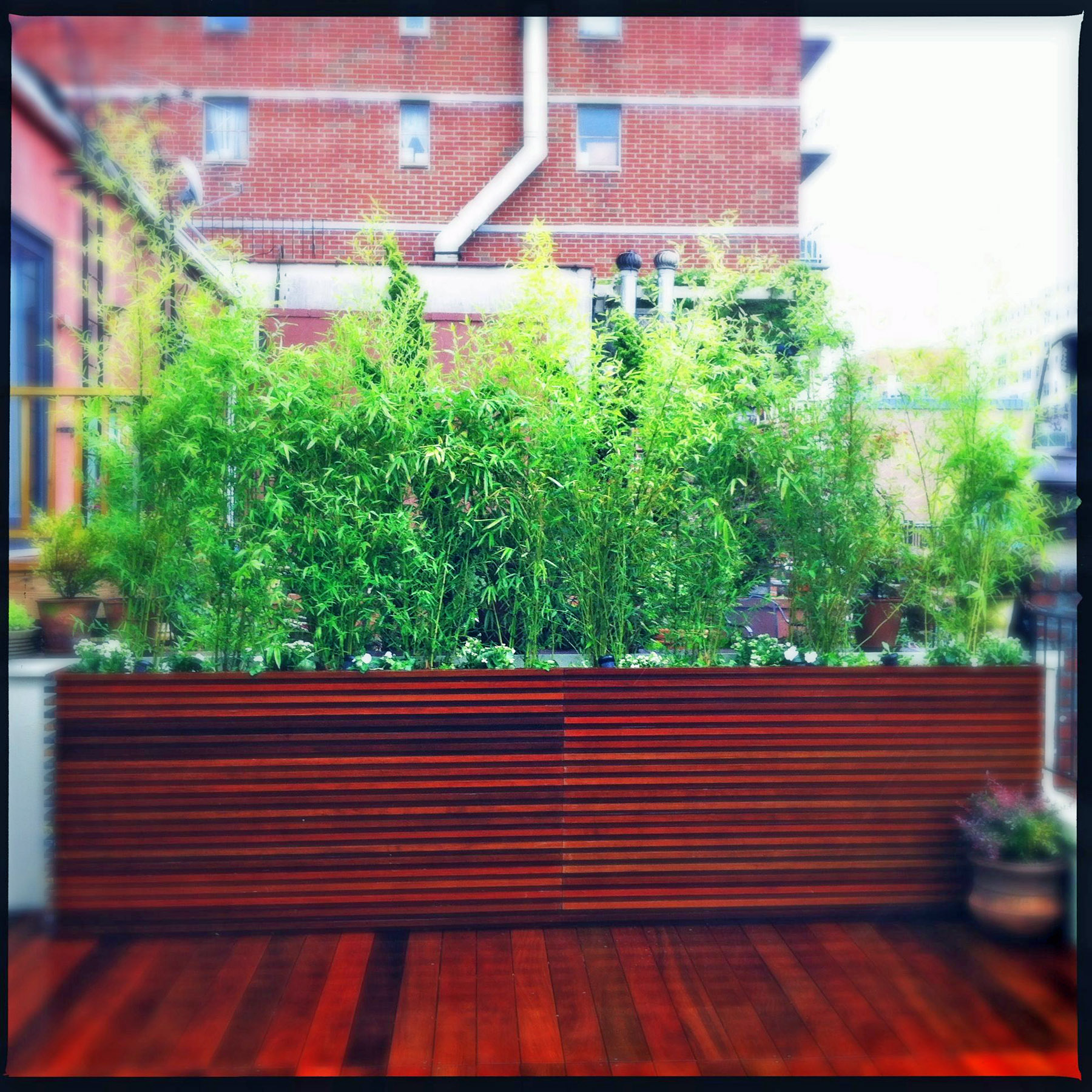 NYC_Garden_Design_5.jpg