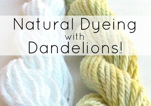 Natural Dyeing with Dandelions - feat--fb.jpg