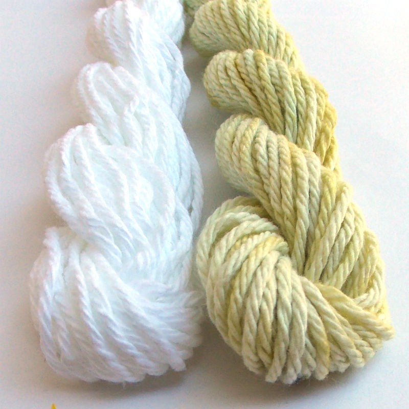 Natural Dyeing with Dandelions - final white bck-800.jpg