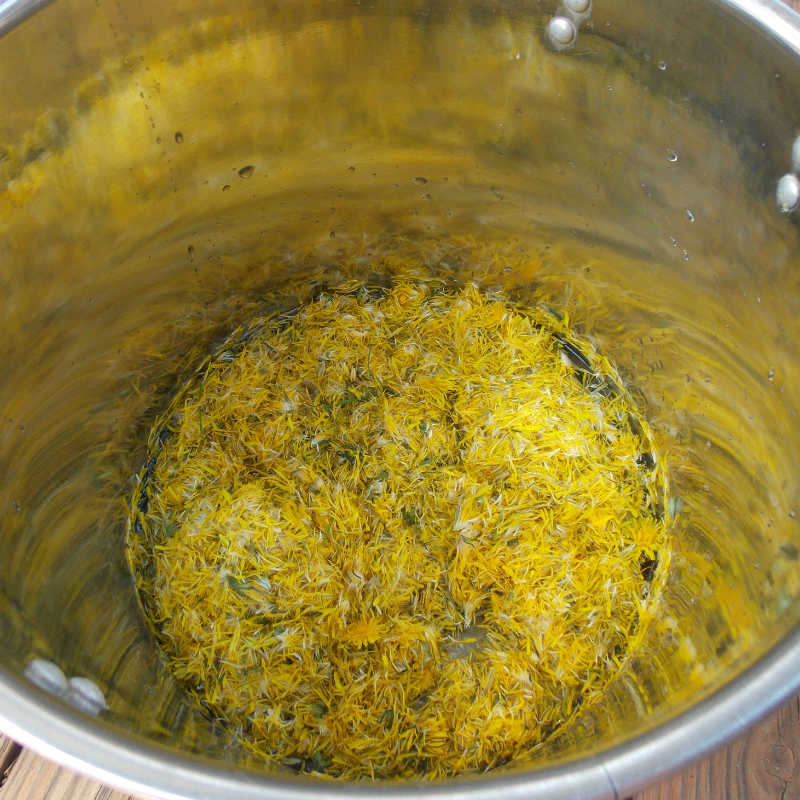 Natural Dyeing with Dandelions - make the dye.jpg