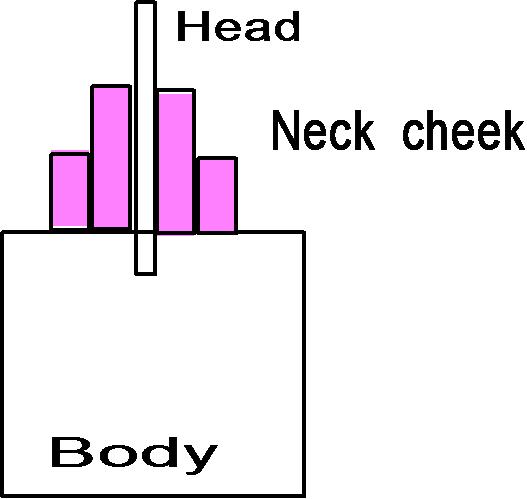 Neck cheek.jpg