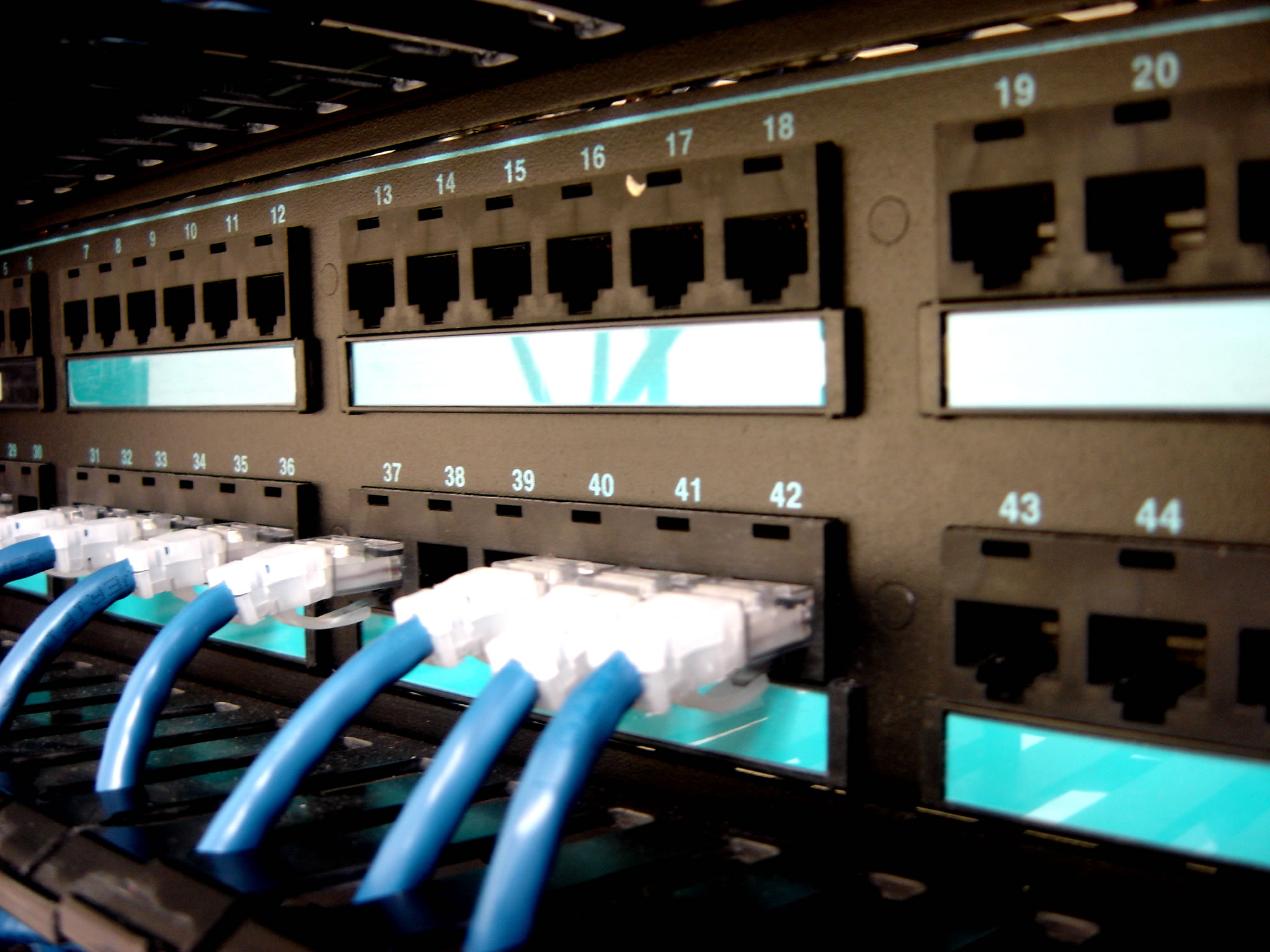 Networking Switch.jpg