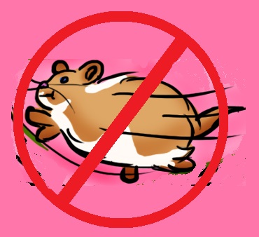 No Rodents.jpg