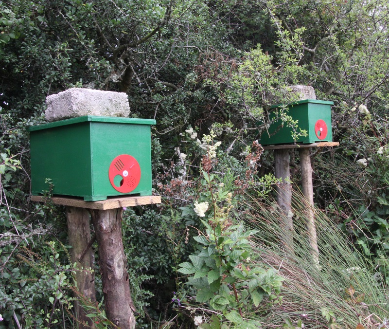 Nucleus bee hive swarm catch hive on fence post stand 02.jpg