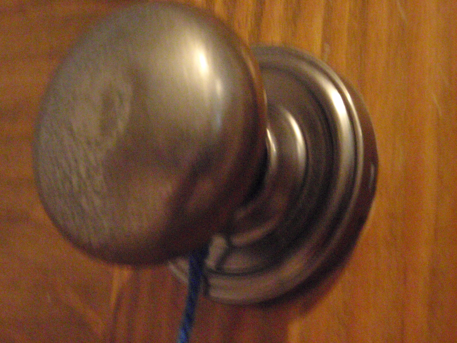 OLYMPUS2 077.jpg