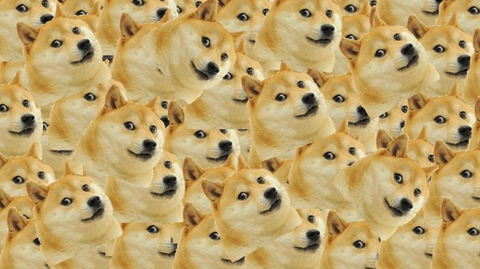 OMFDOGE.jpg