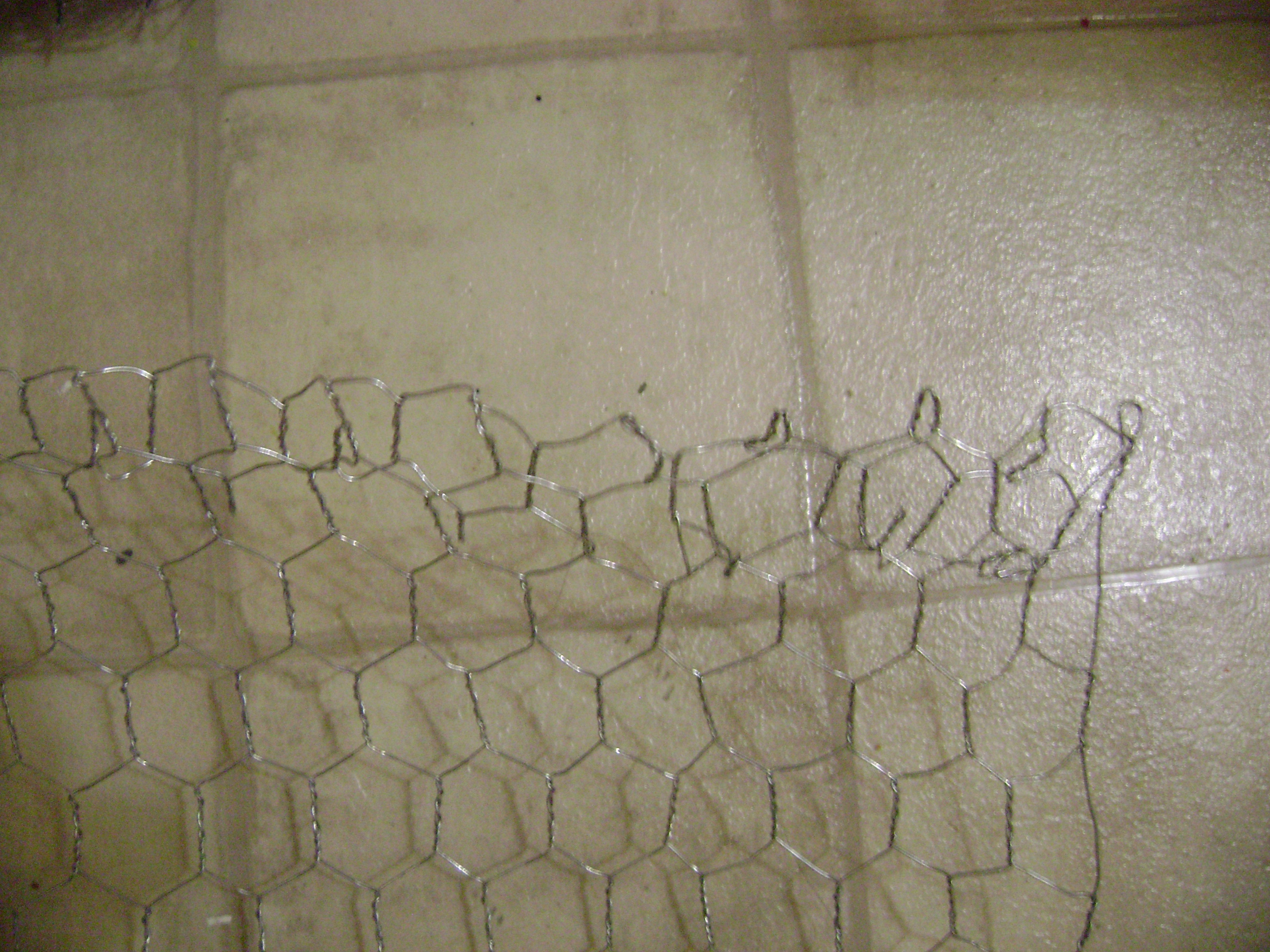 October 2010 241.jpg
