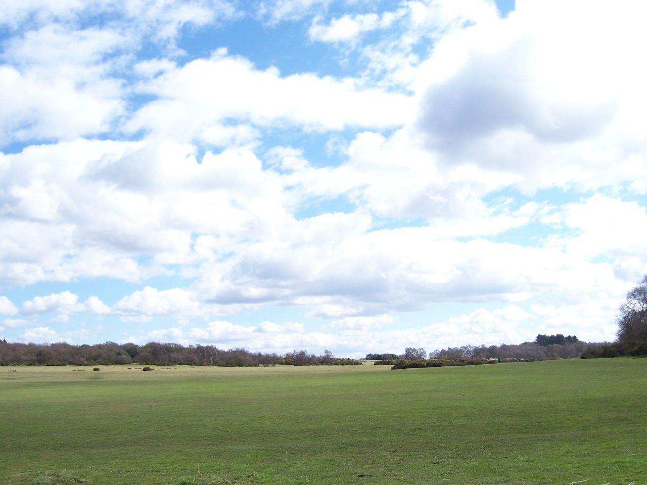 Open_Field_Sutton_Park.jpg