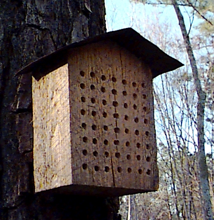 Orchard Bee House.jpg