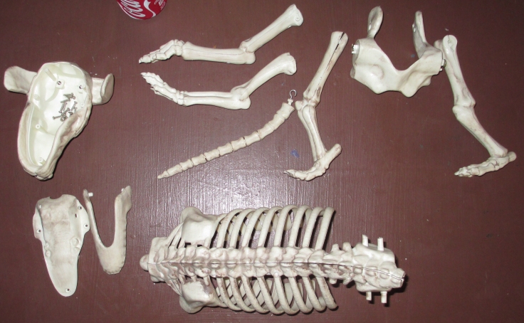 Original Disassembled Dog.jpg