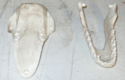 Original Jaw Parts.jpg