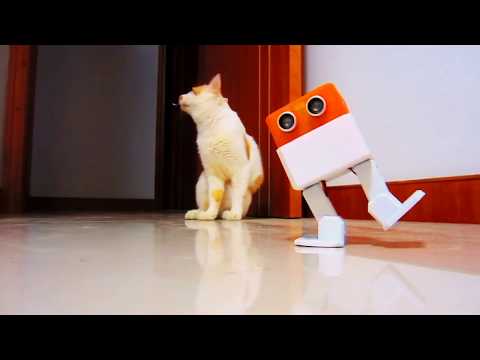 Otto DIY+ (PLUS) Bluetooth controlled robot vs cat