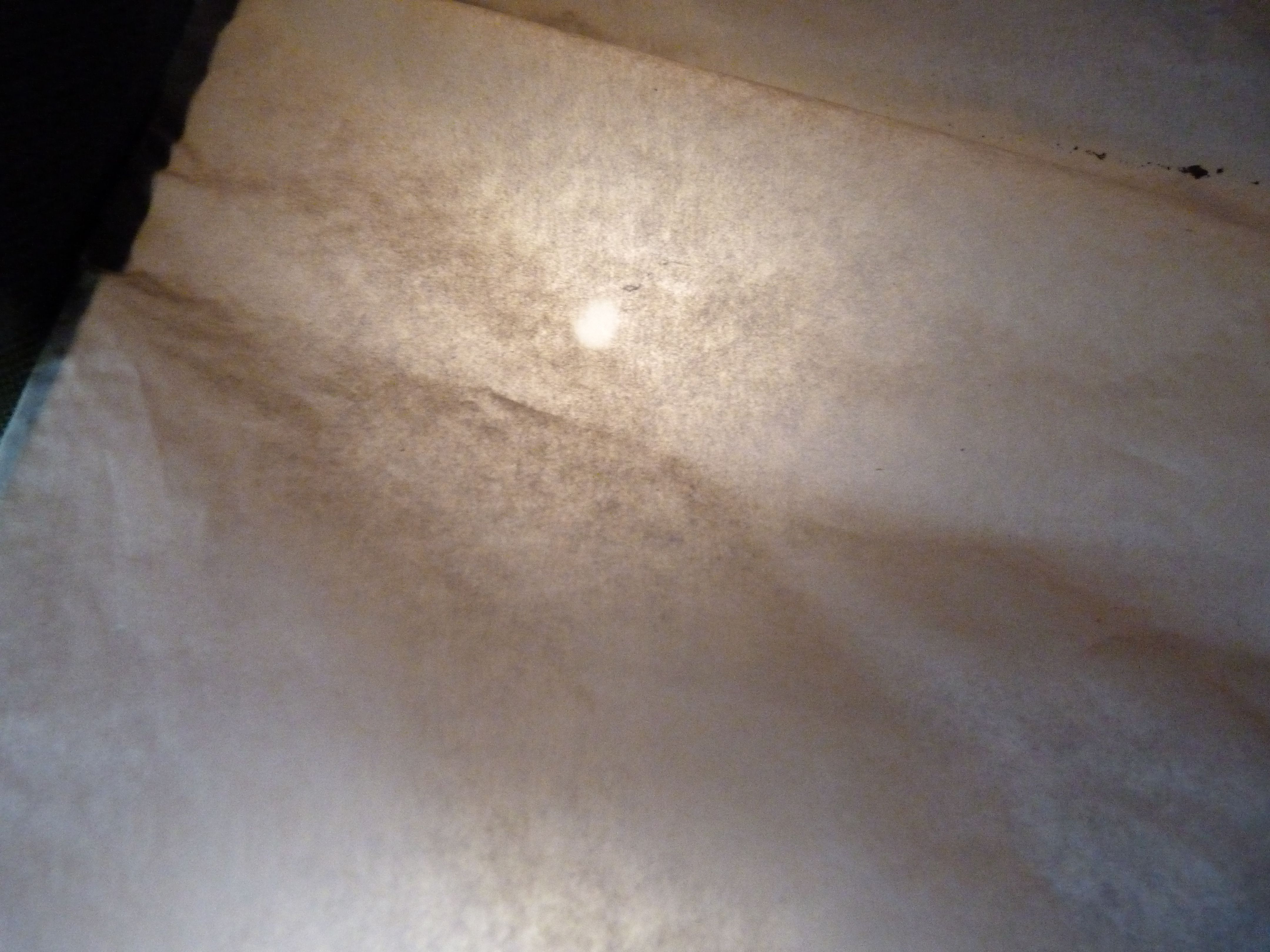 P1000397.JPG