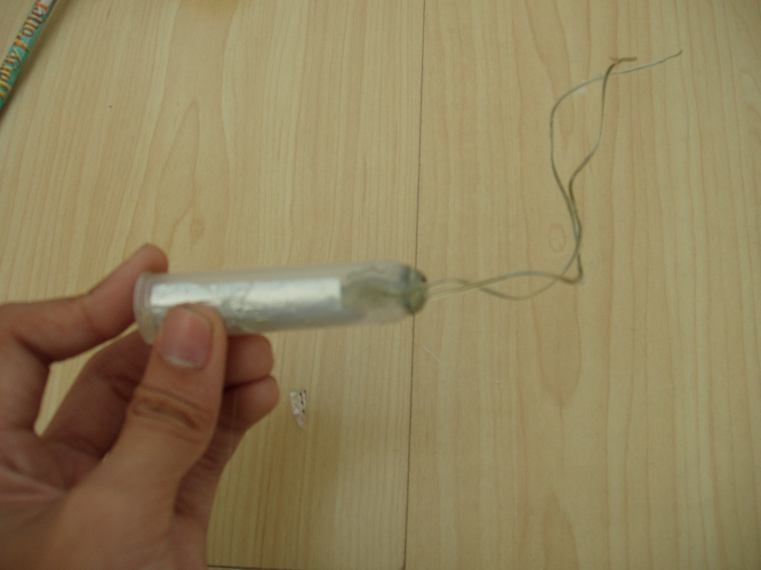 P1010041.JPG