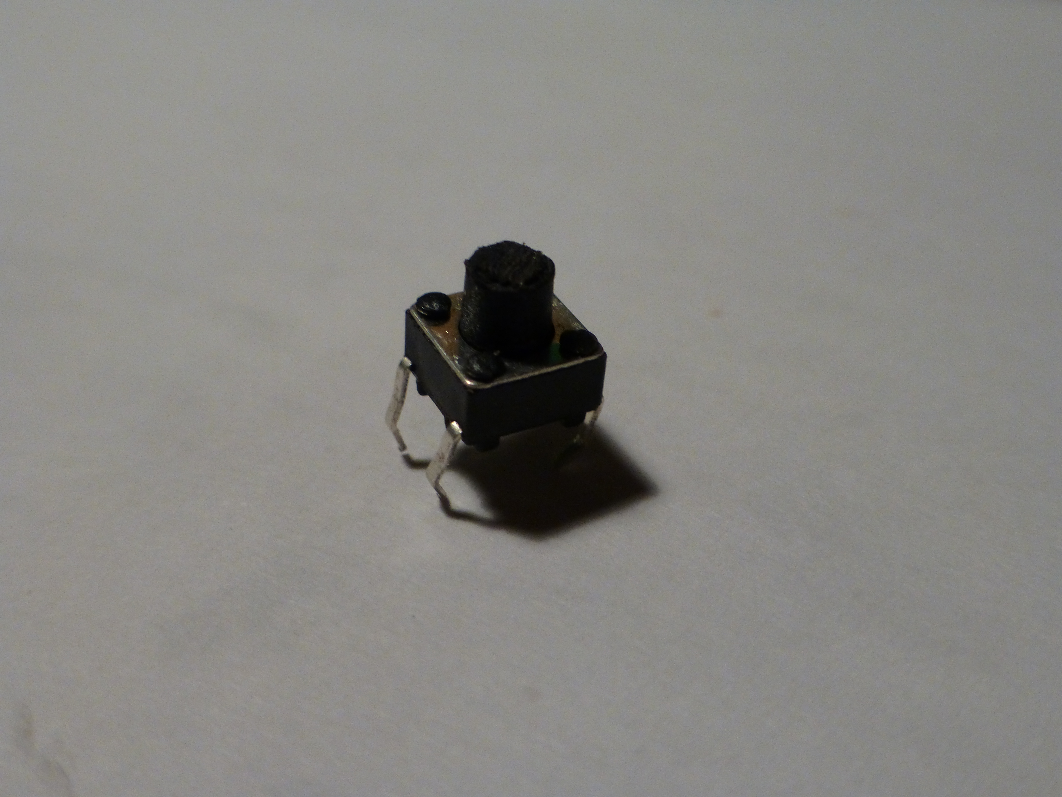 P1010166.JPG