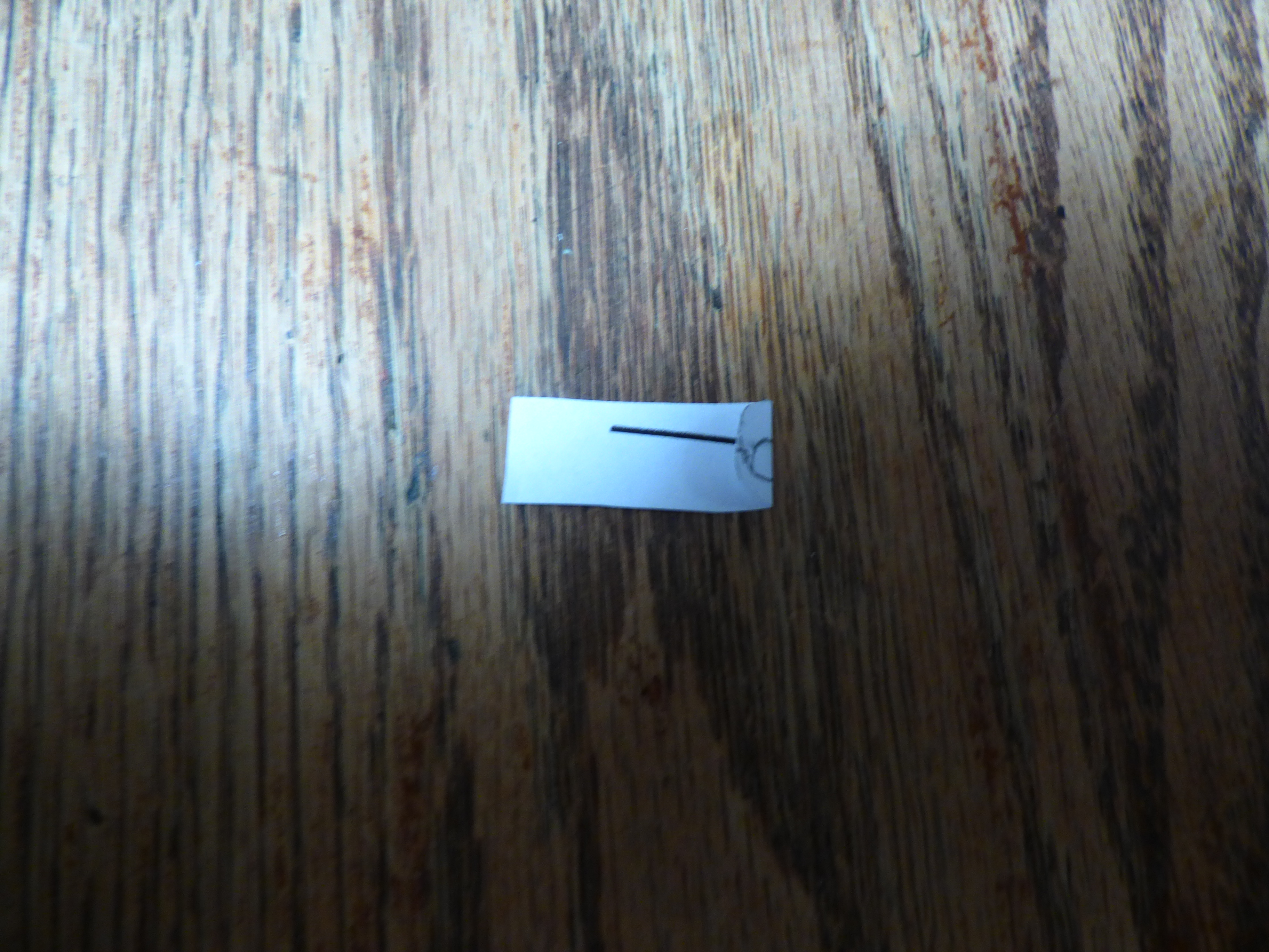 P1010614.JPG