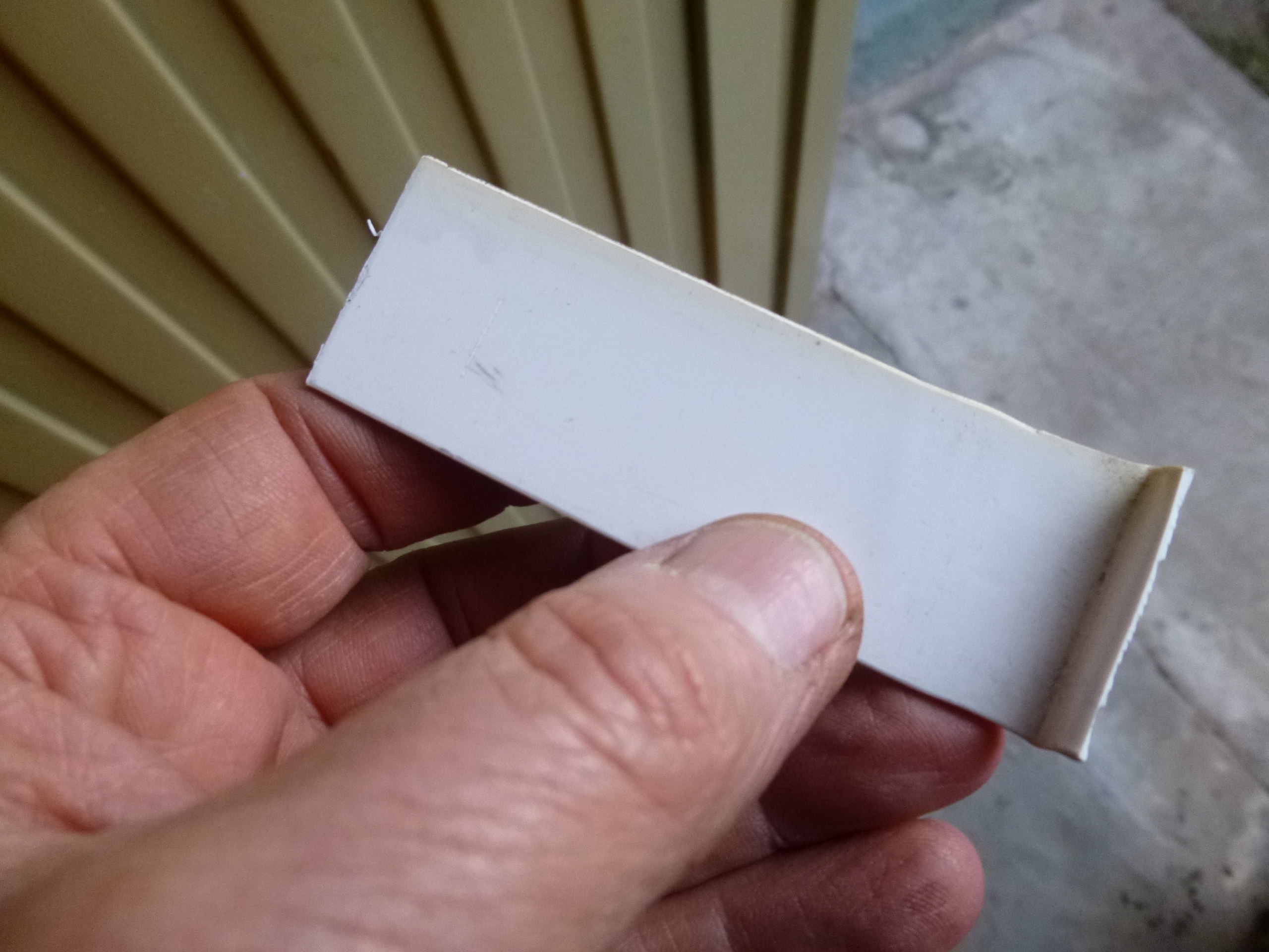 P1010717.JPG