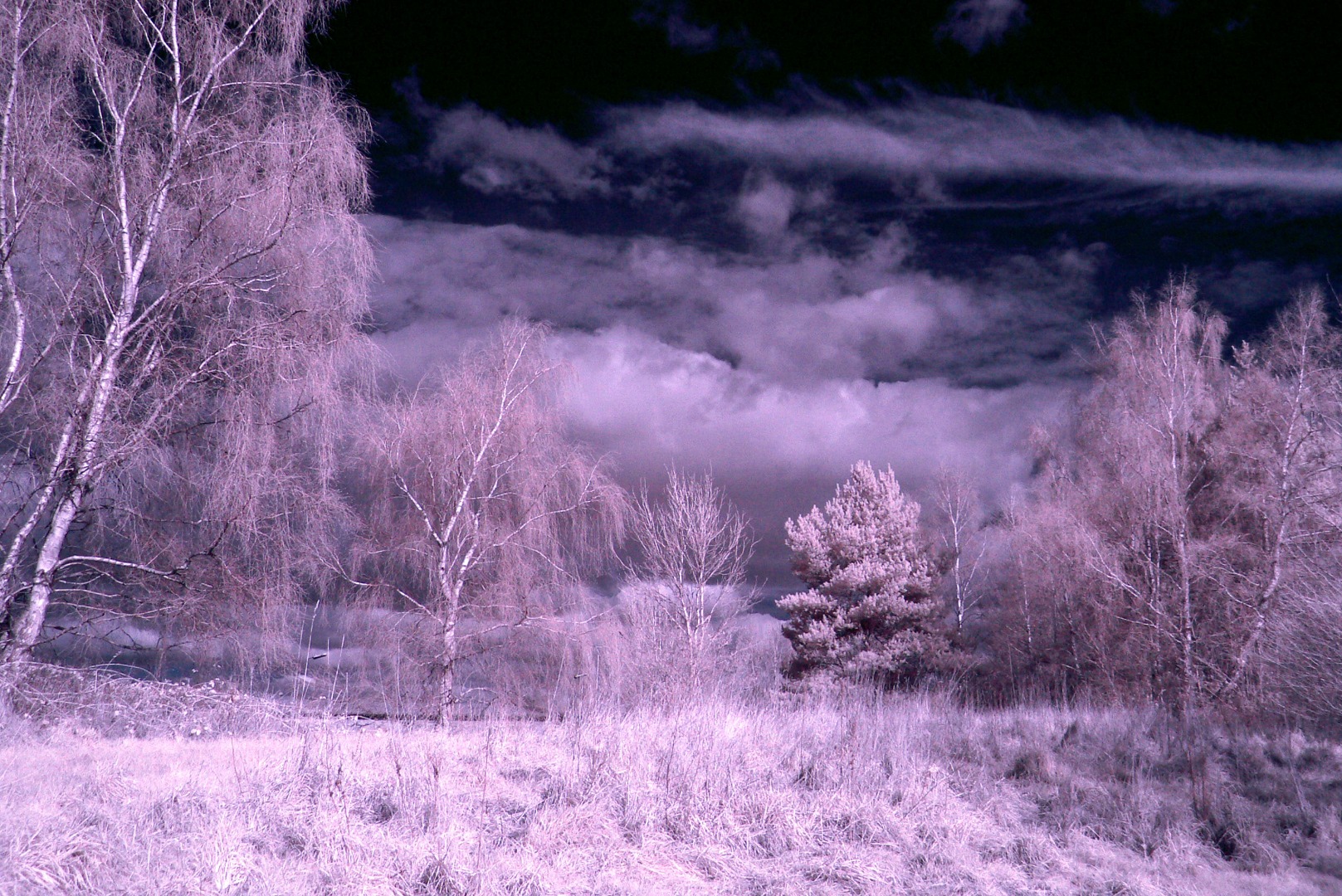P1020128a.jpg