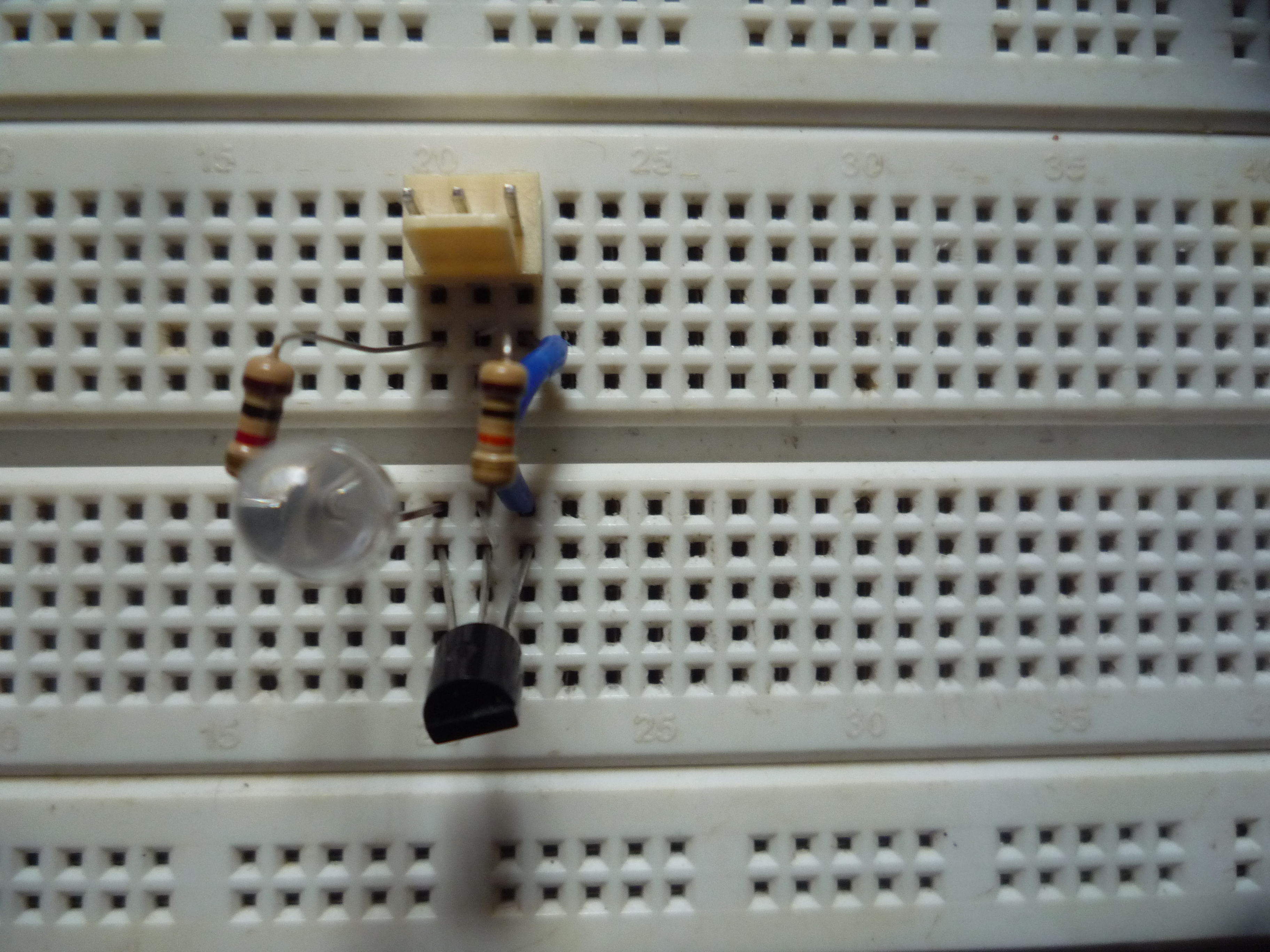 P1080610.JPG