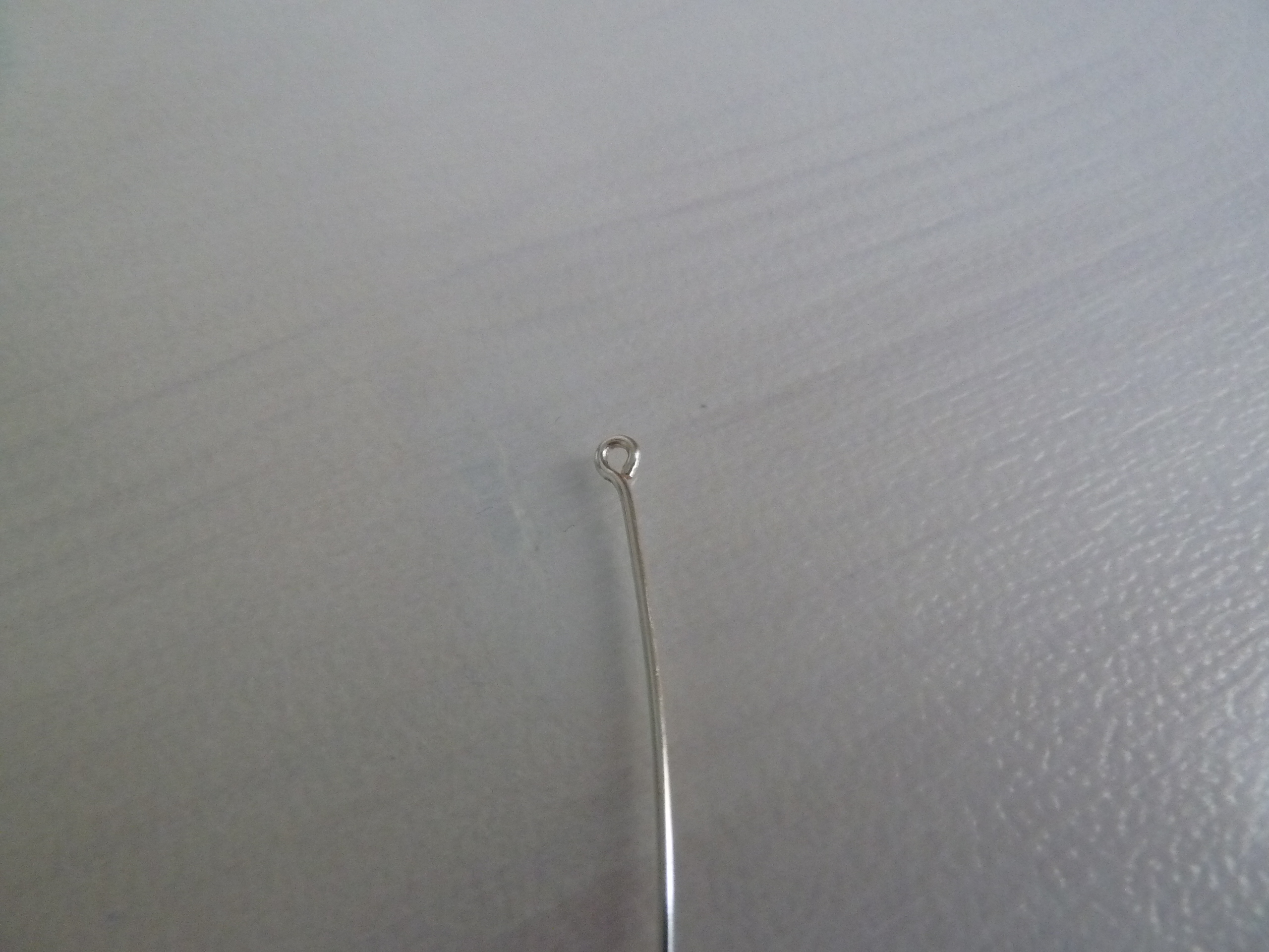 P1120103.JPG