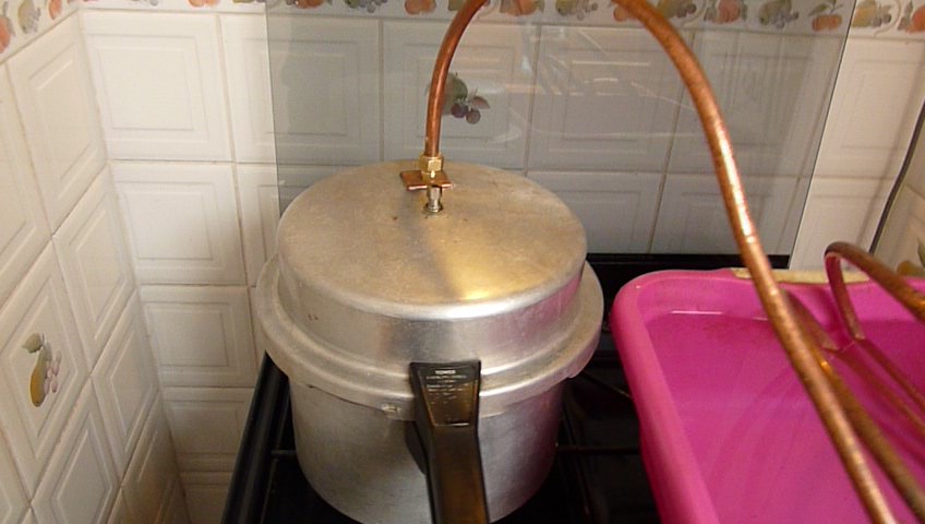 P1140565.JPG