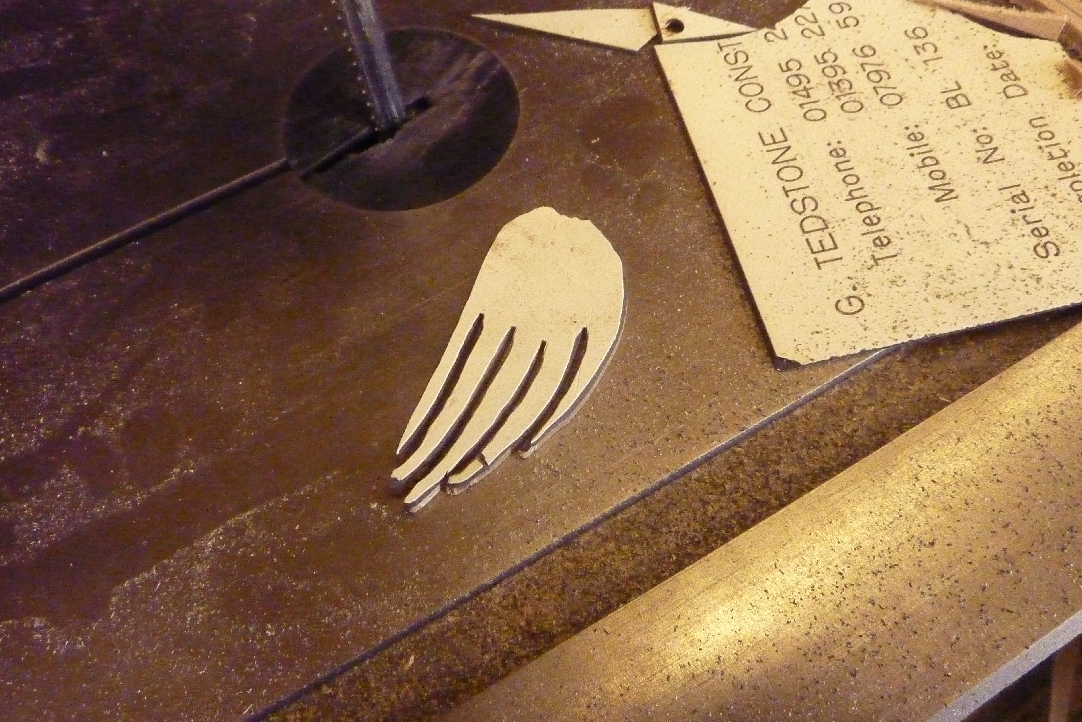 P1150035.JPG