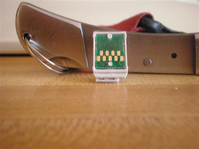 P5070509 (Small).JPG