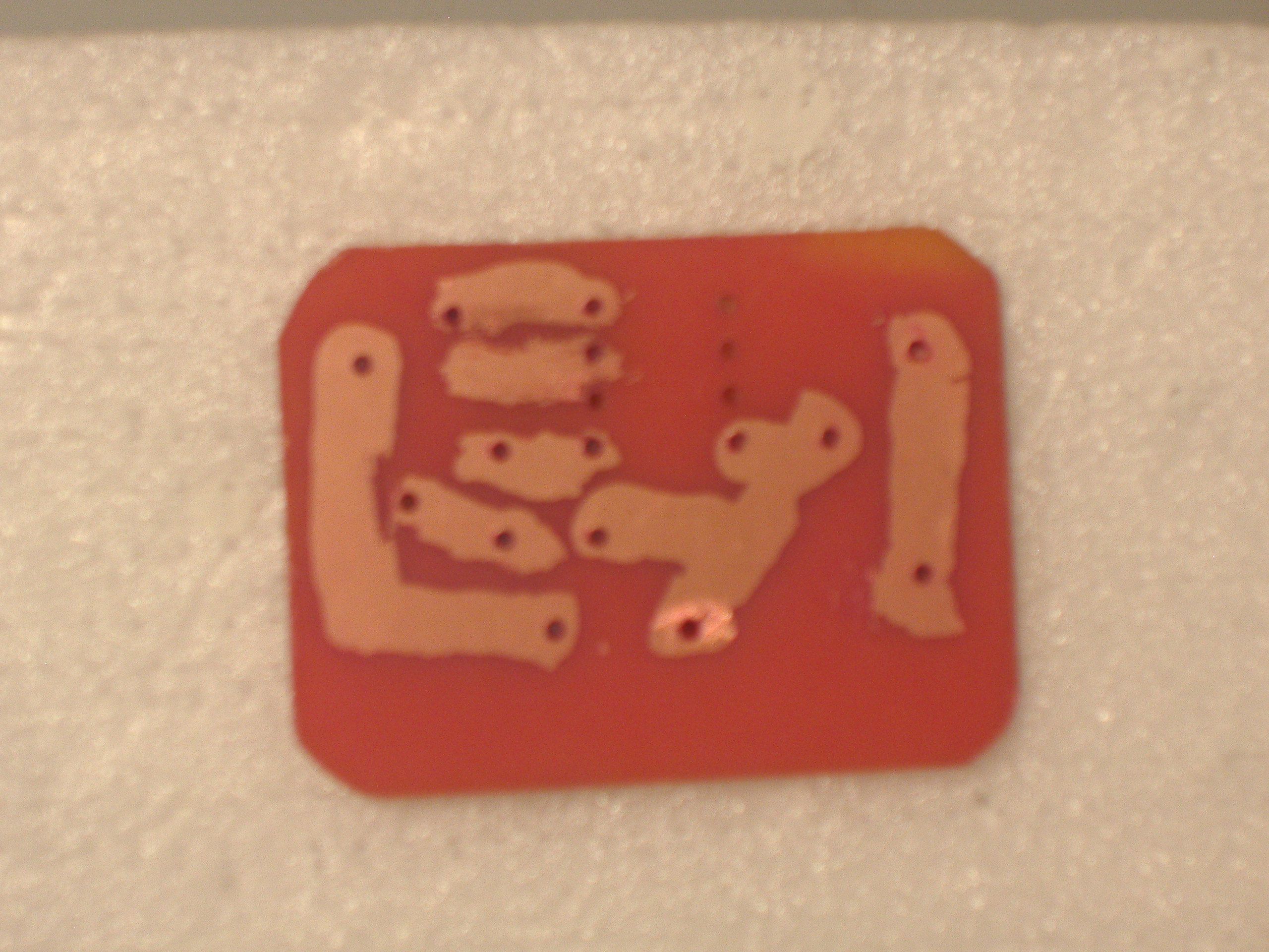 P9300013.JPG