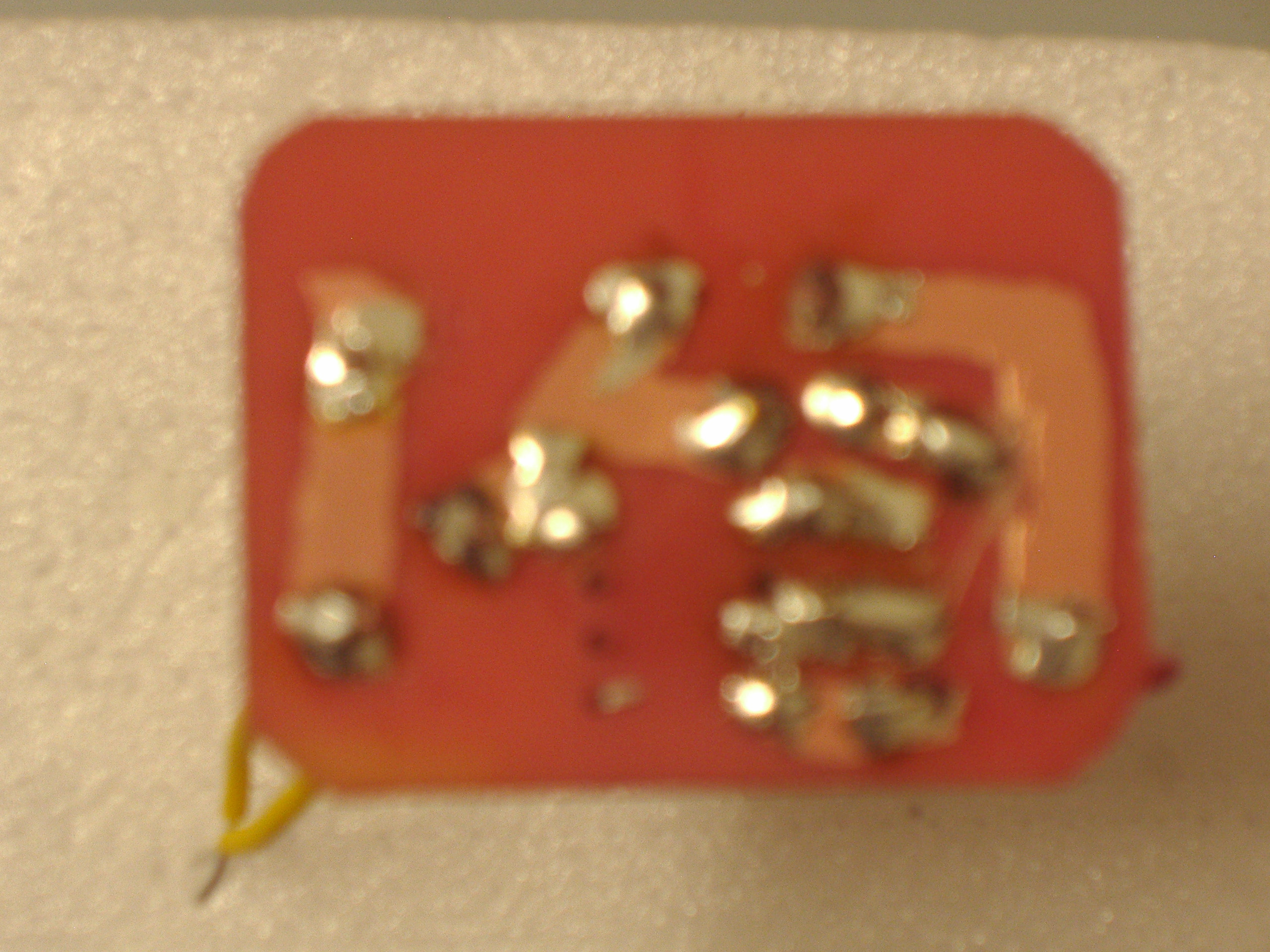 P9300016.JPG