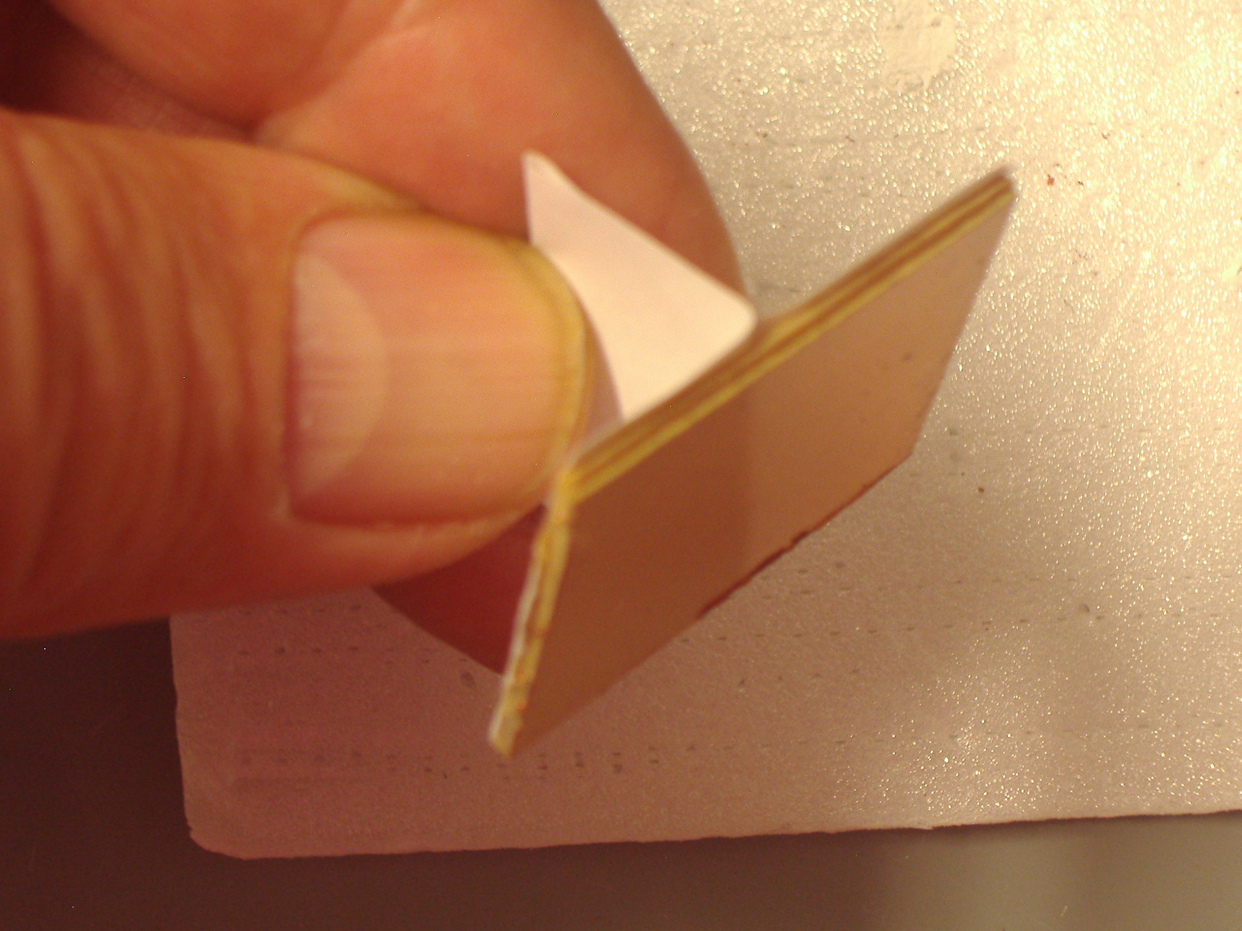 PA010002.JPG