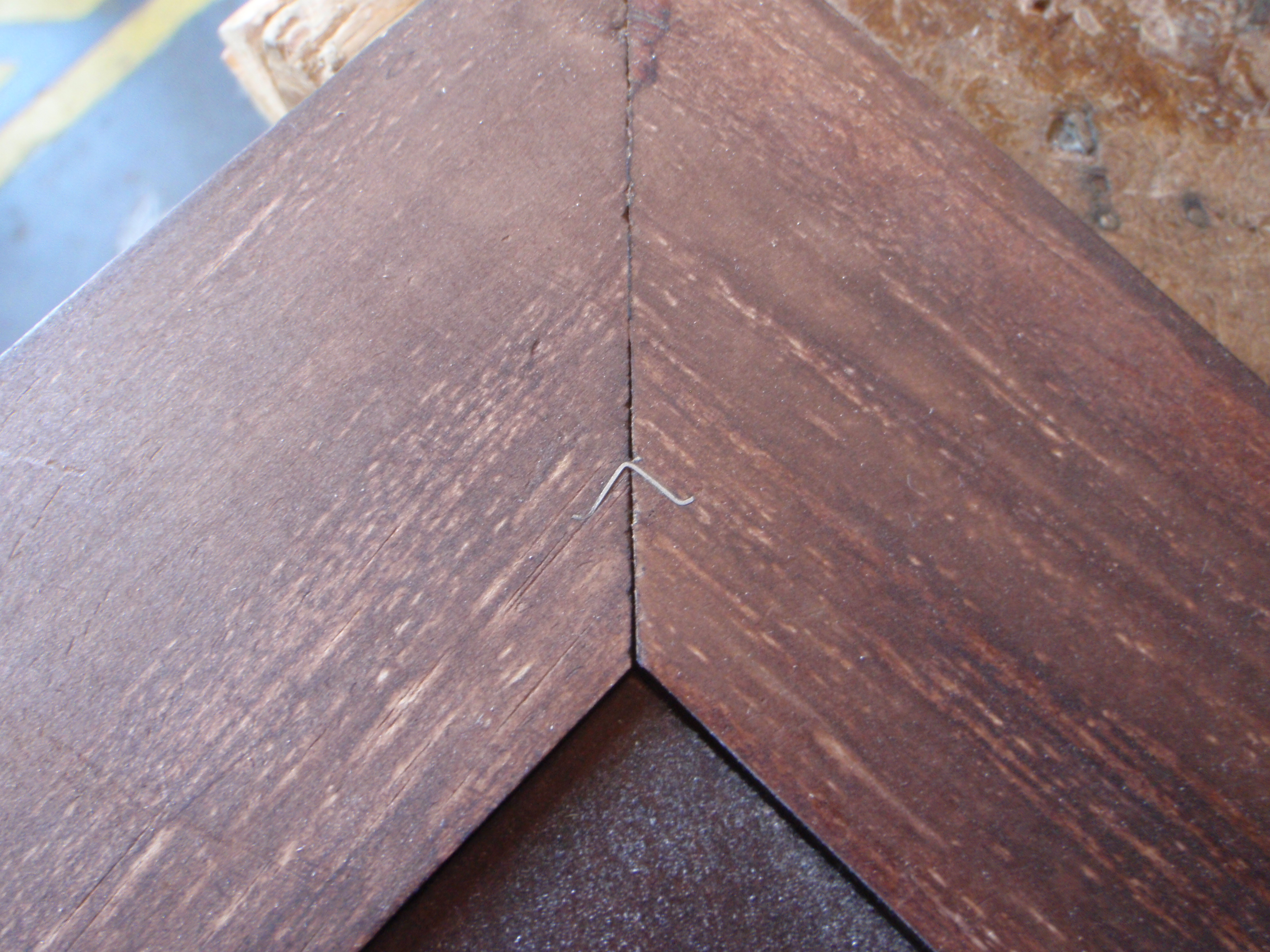 PB211444.JPG