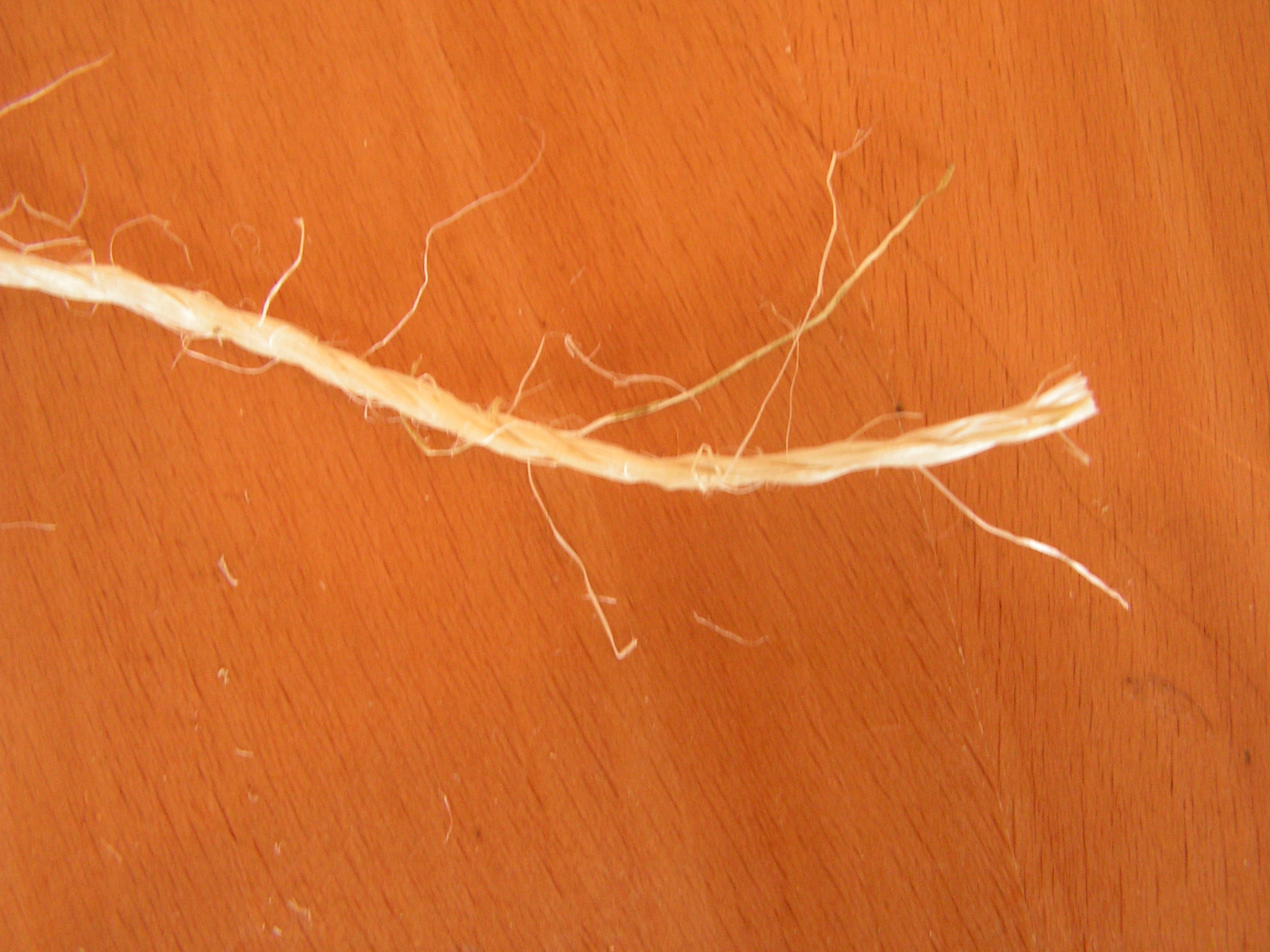 PICT0002.JPG