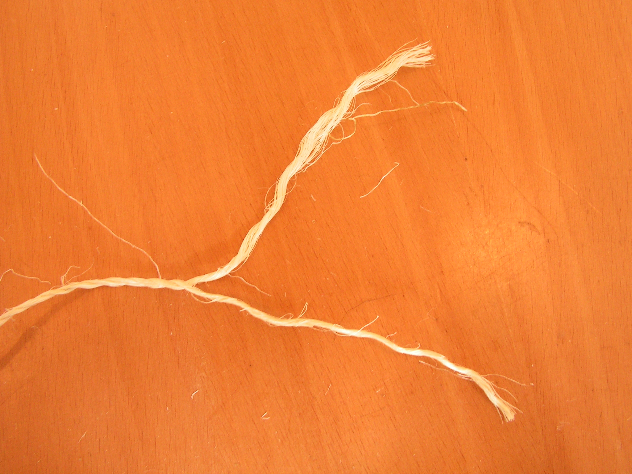 PICT0003.JPG