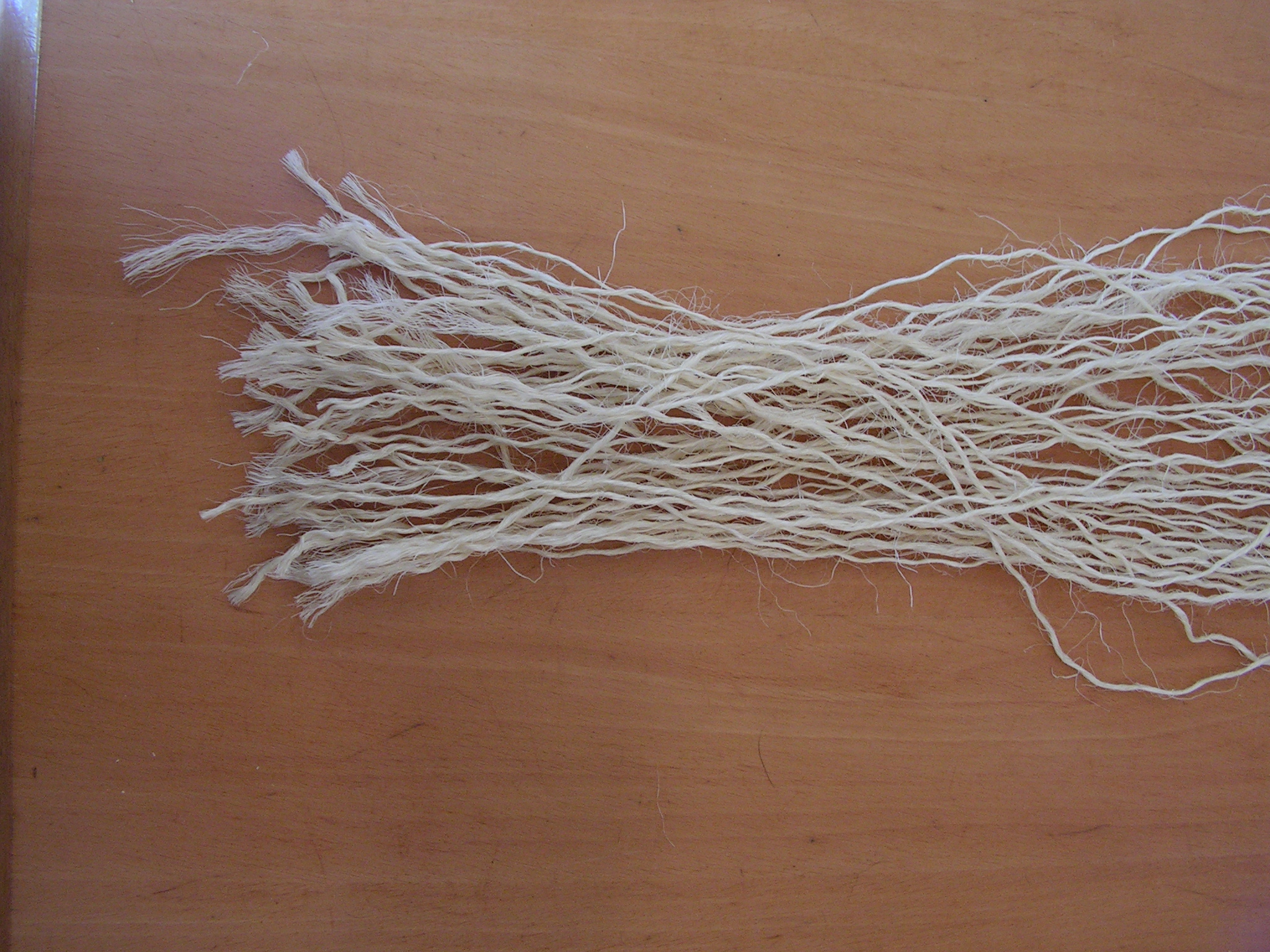 PICT0004.JPG