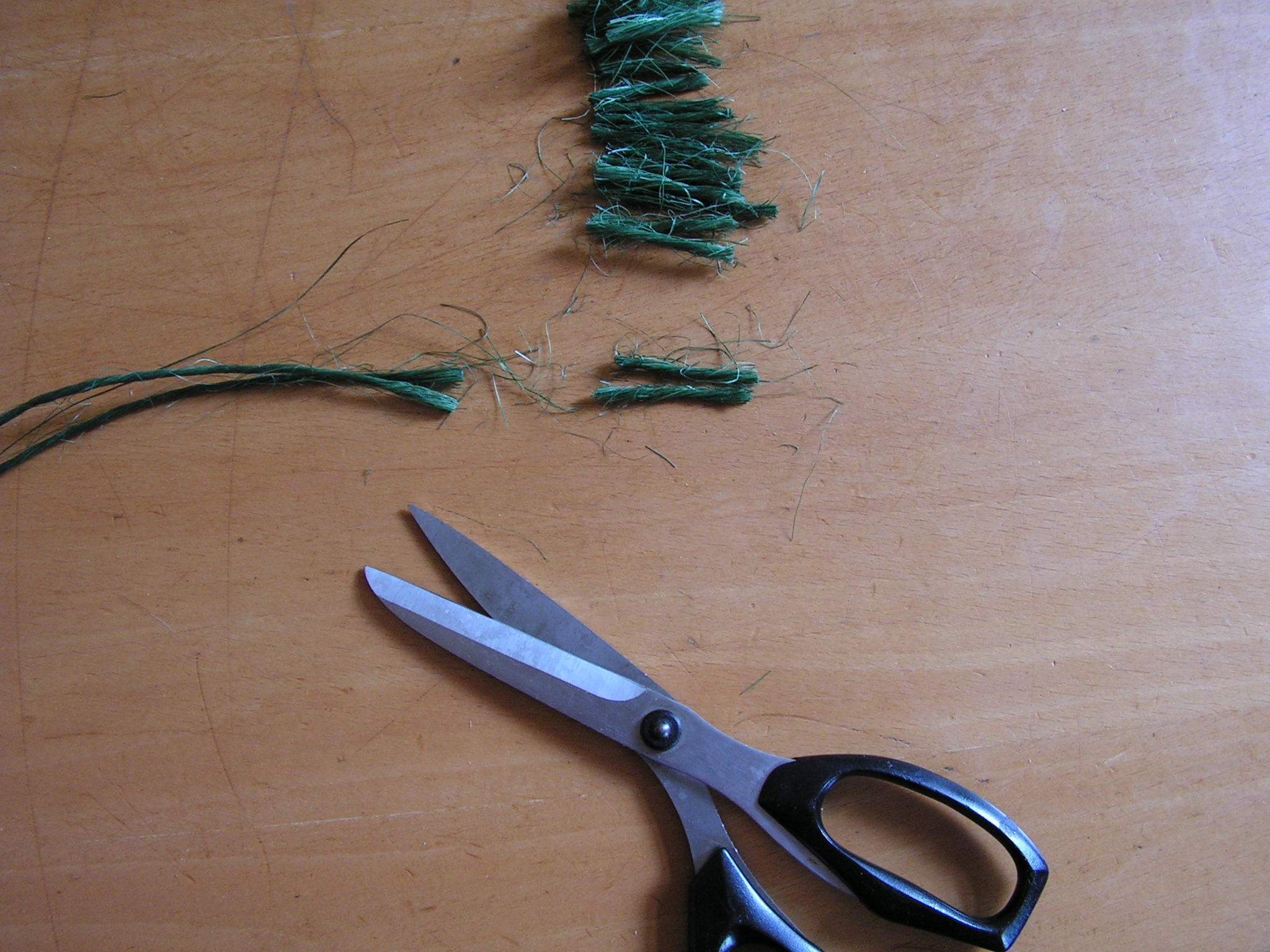 PICT0005.JPG