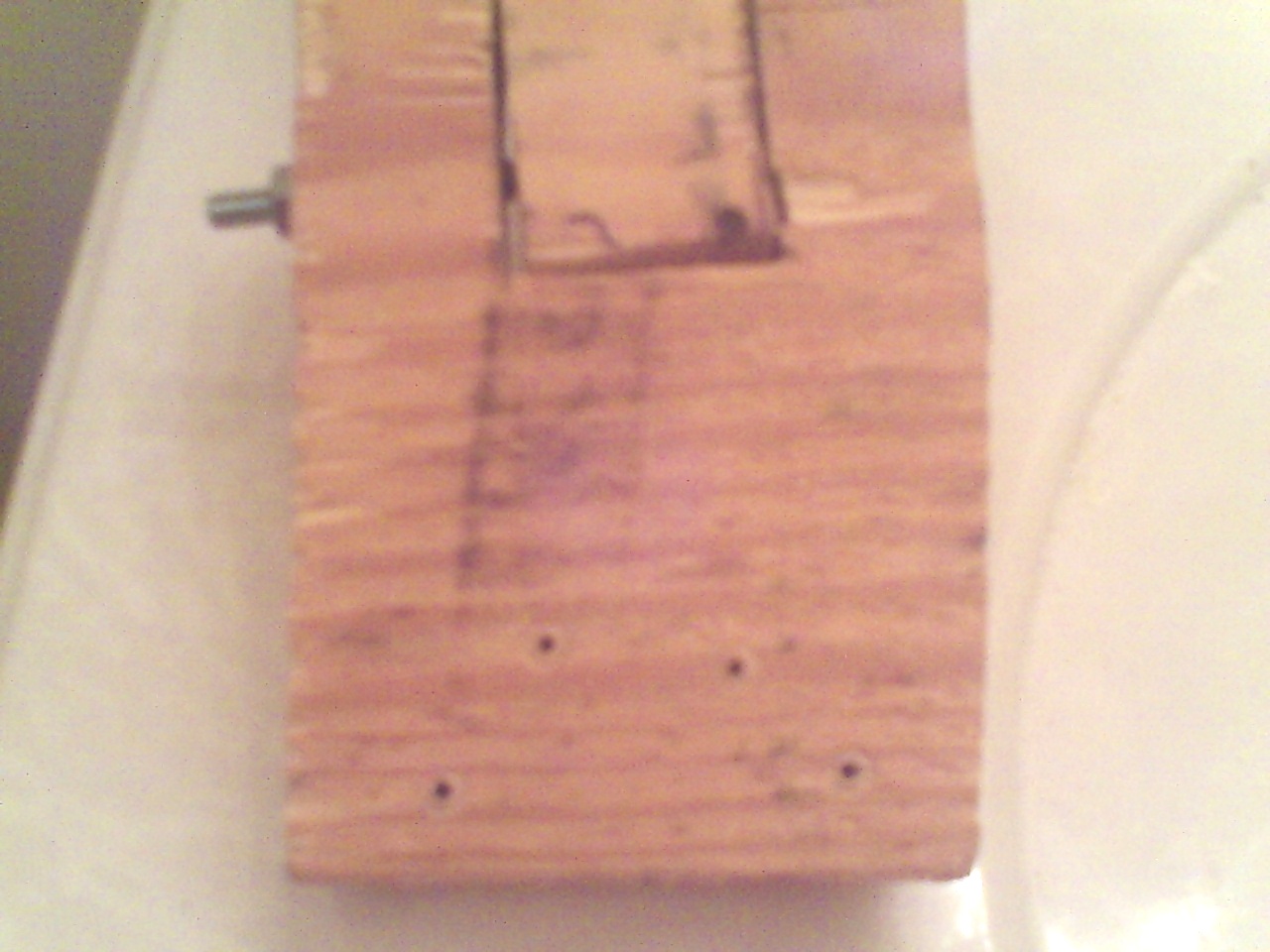 PICT0011.JPG