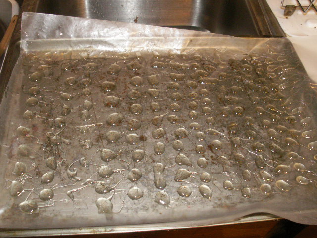 PICT0024.JPG