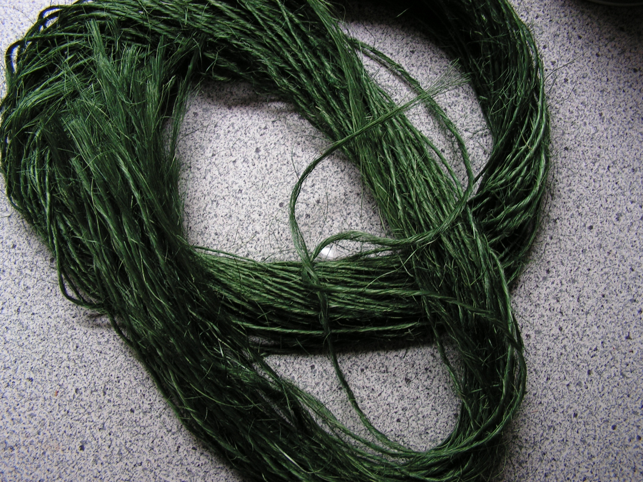 PICT0025.JPG