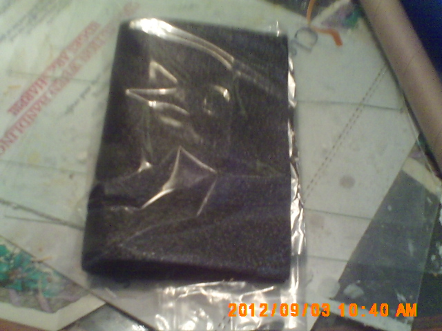 PICT0297.JPG