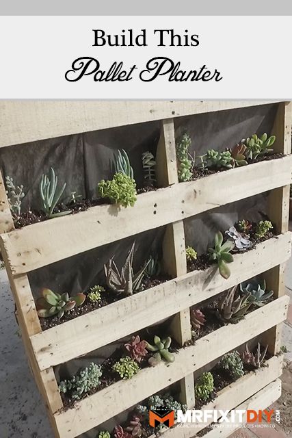 Pallet Planter 2.jpg