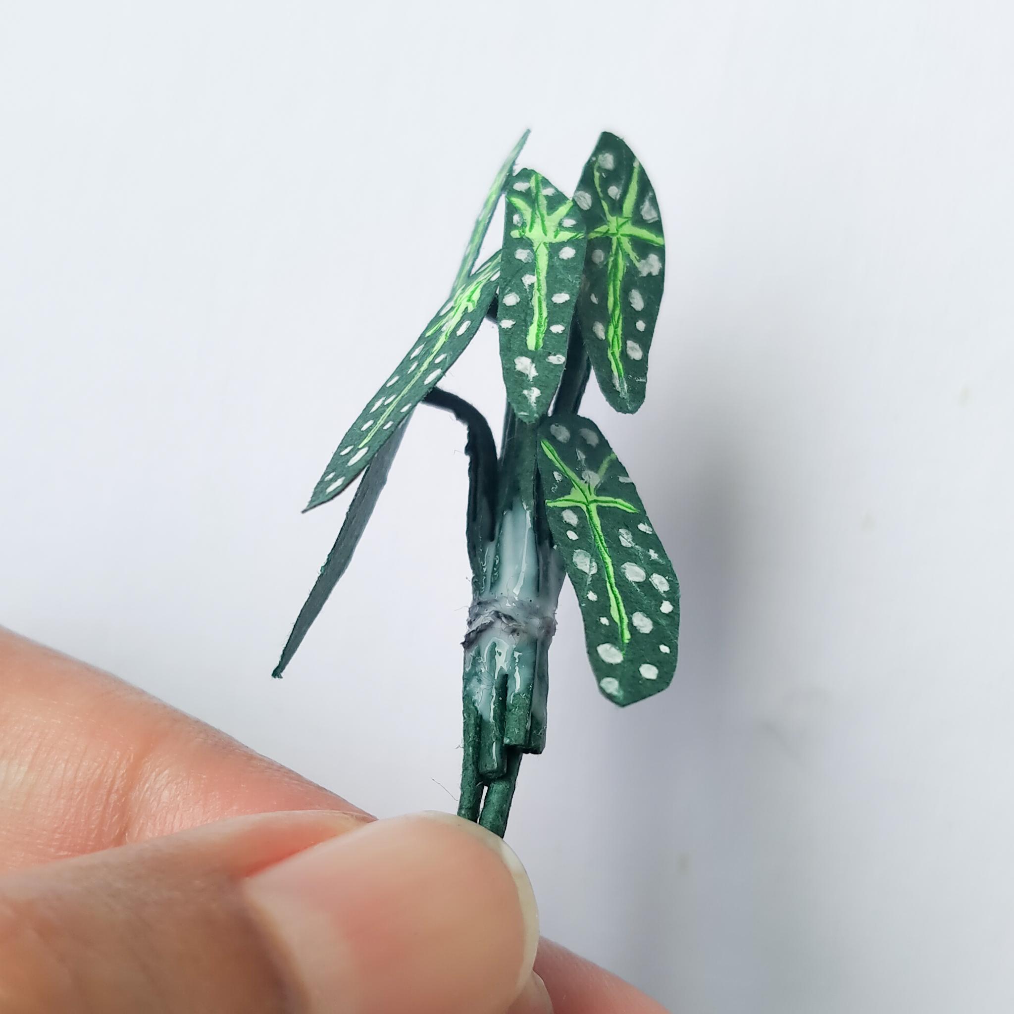 Paper miniature plants  by quinzyvarira  (18).jpg