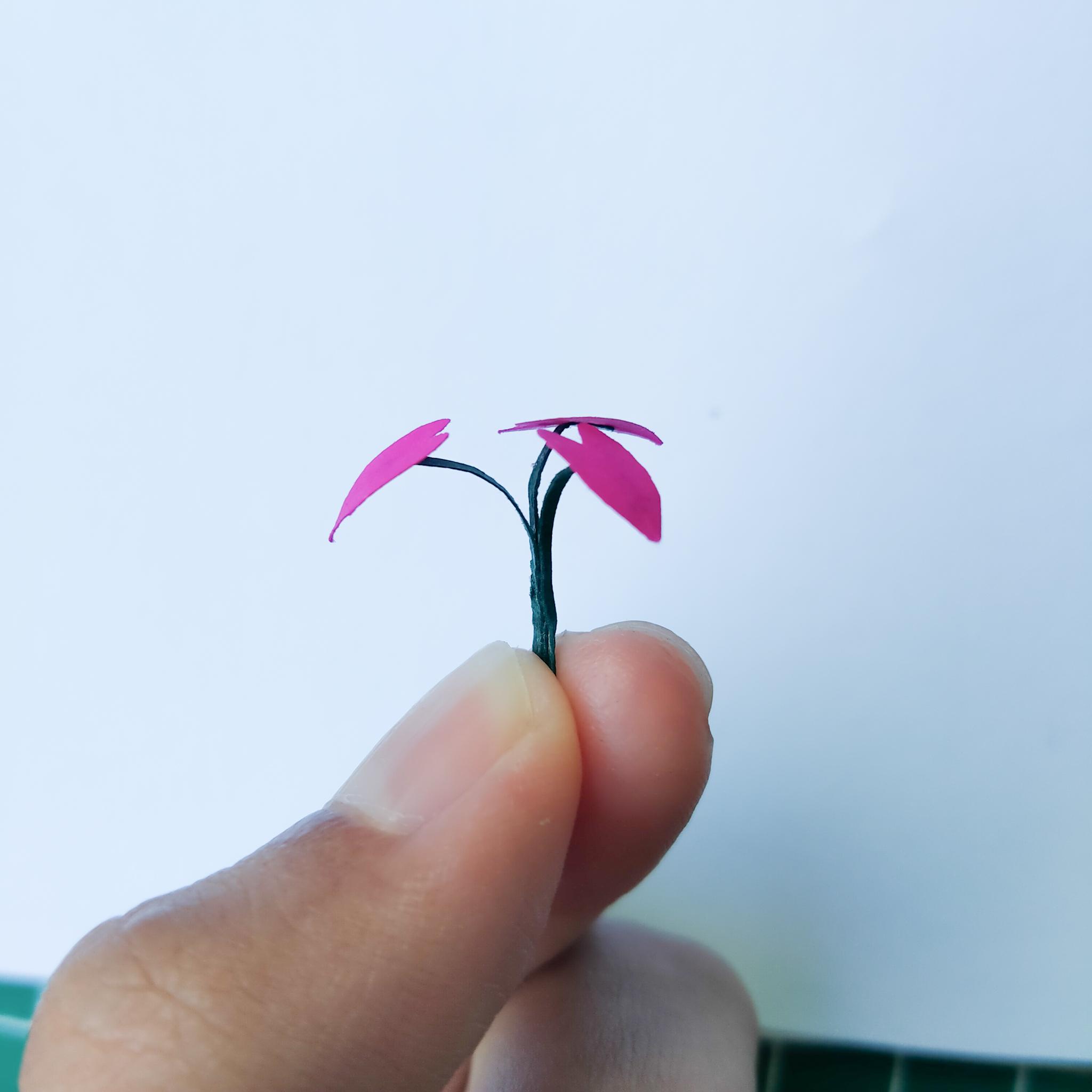 Paper miniature plants  by quinzyvarira  (5)_3.jpg