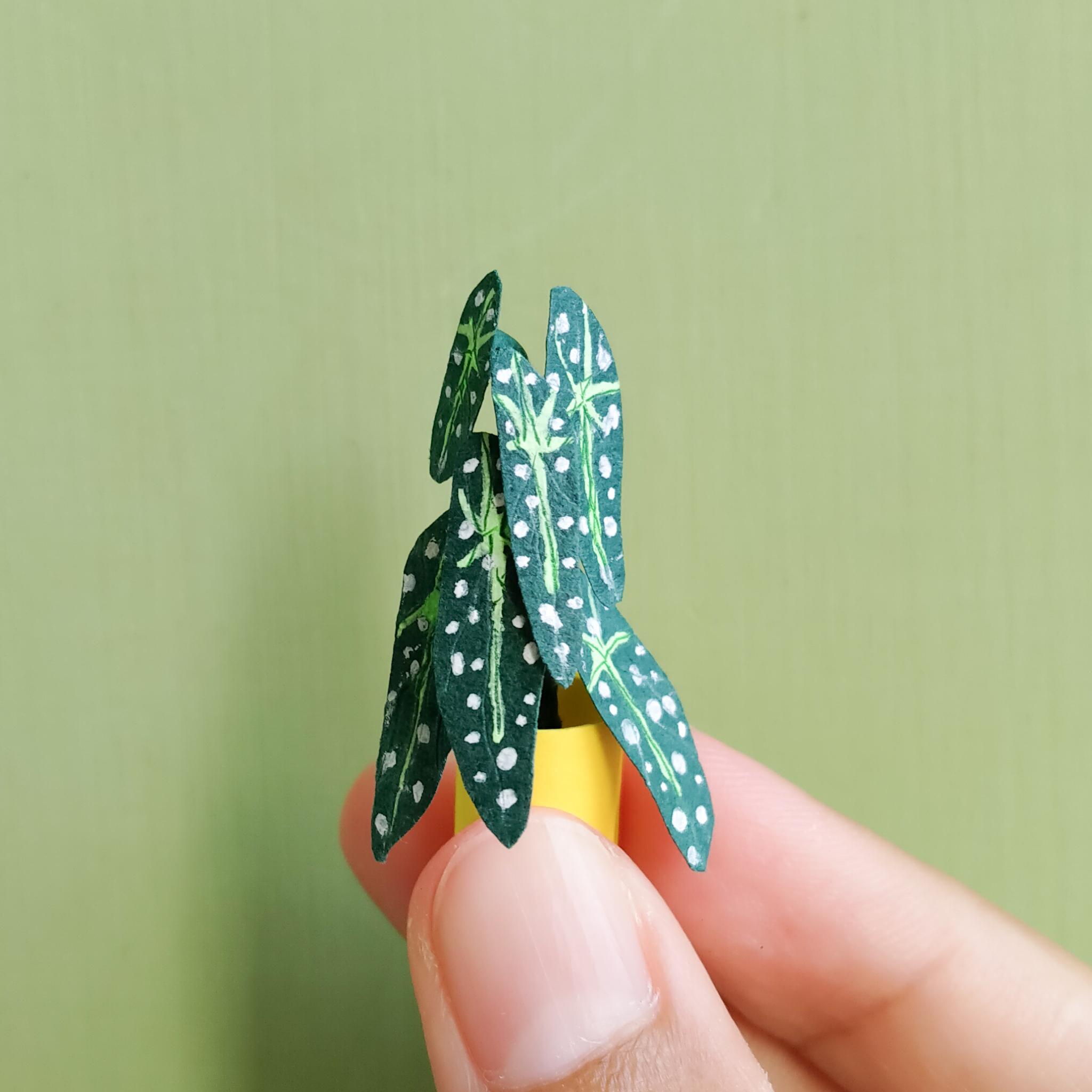 Paper miniature plants  by quinzyvarira  (5)_4.jpg