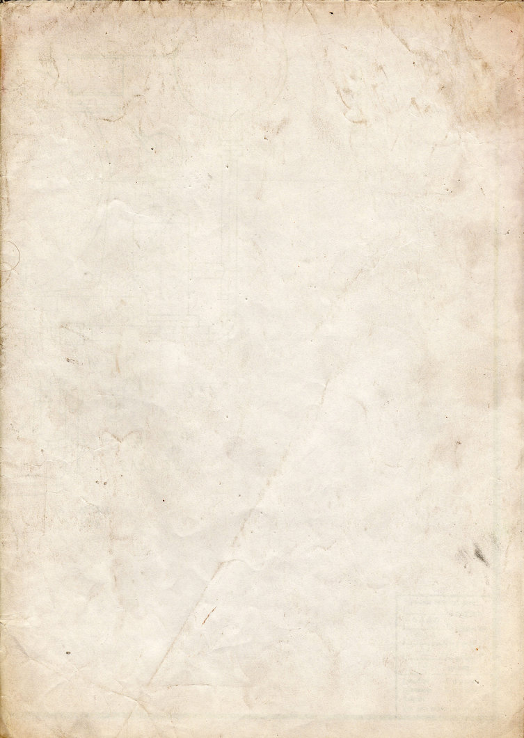 Paper_texture_v5_by_bashcorpo.jpg