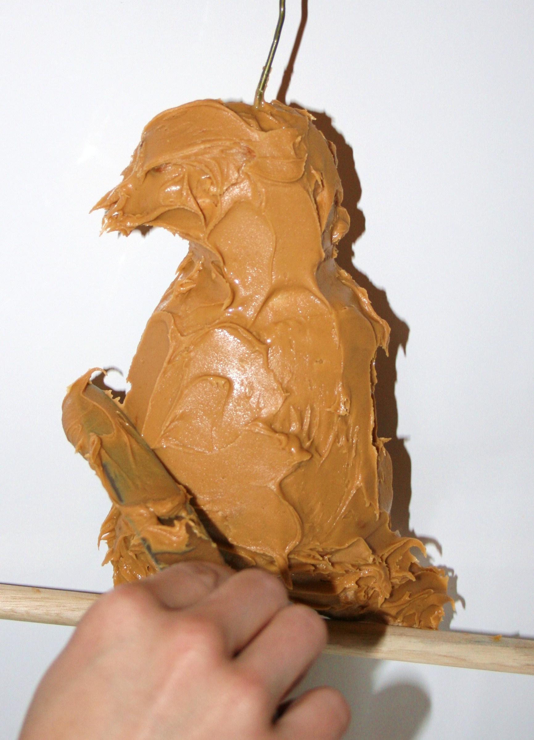 Peanut butter.JPG
