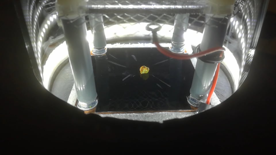 Peltier Cooled Cloud Chamber