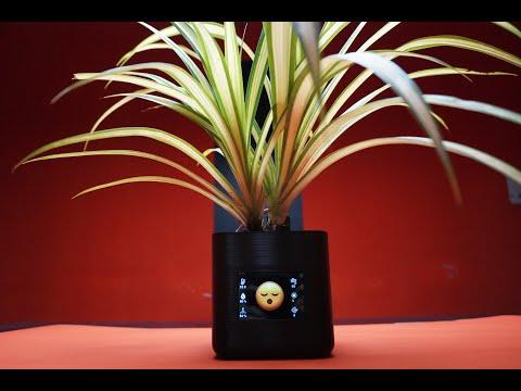 Pet Pot - A Smart Desk Planter