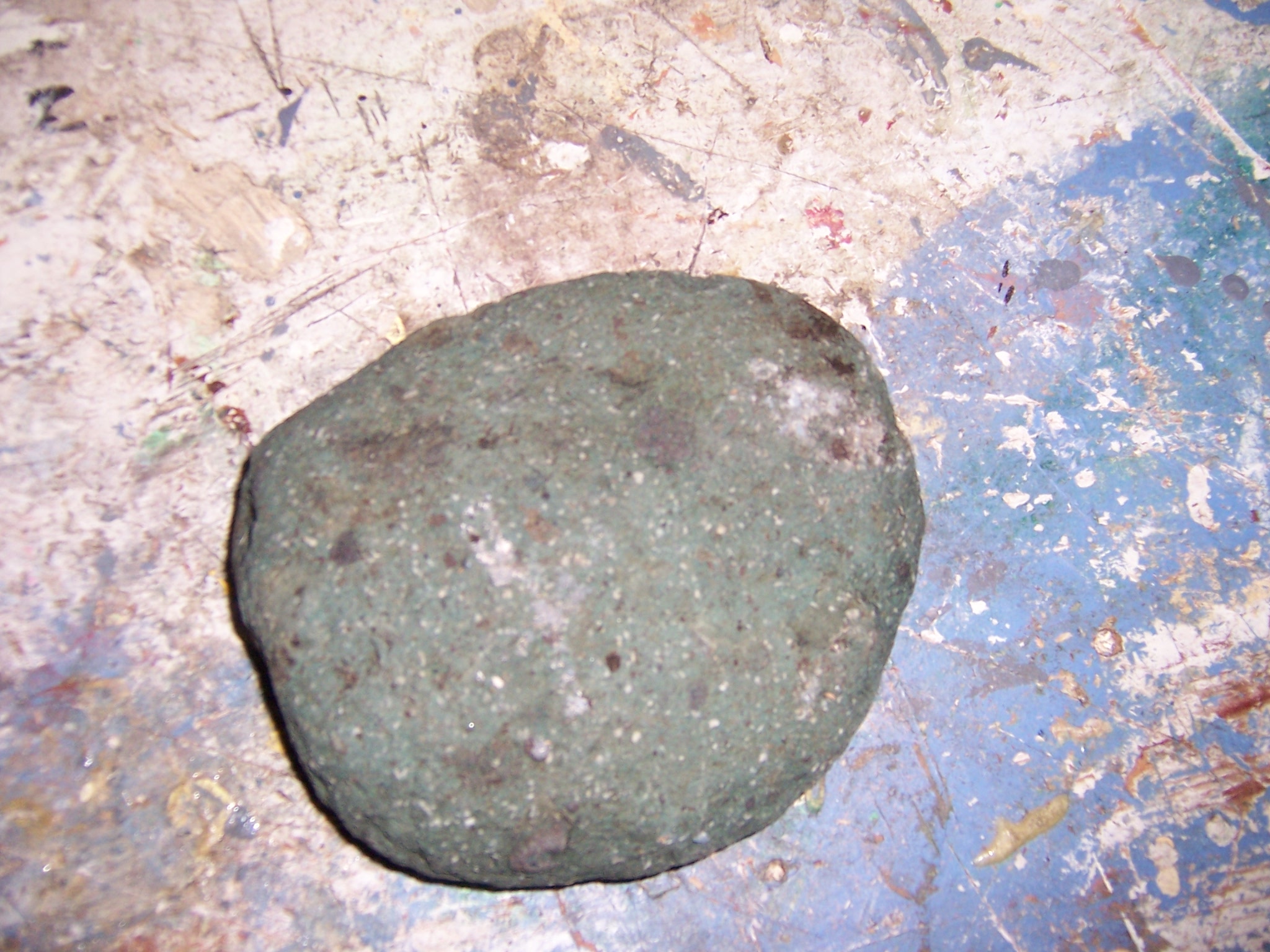 Pet rock 004.JPG