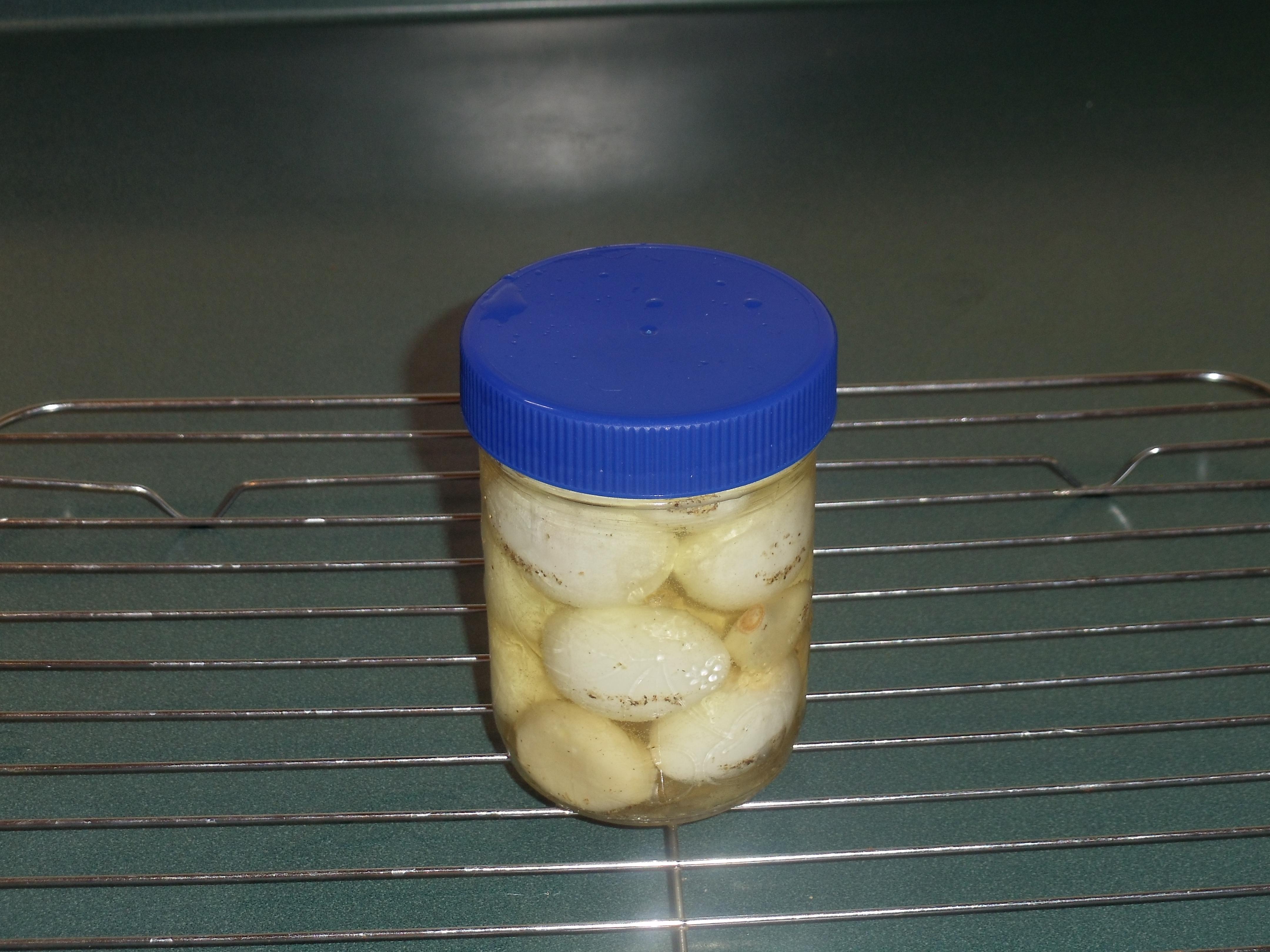 Pickled Quail Eggs 18.JPG