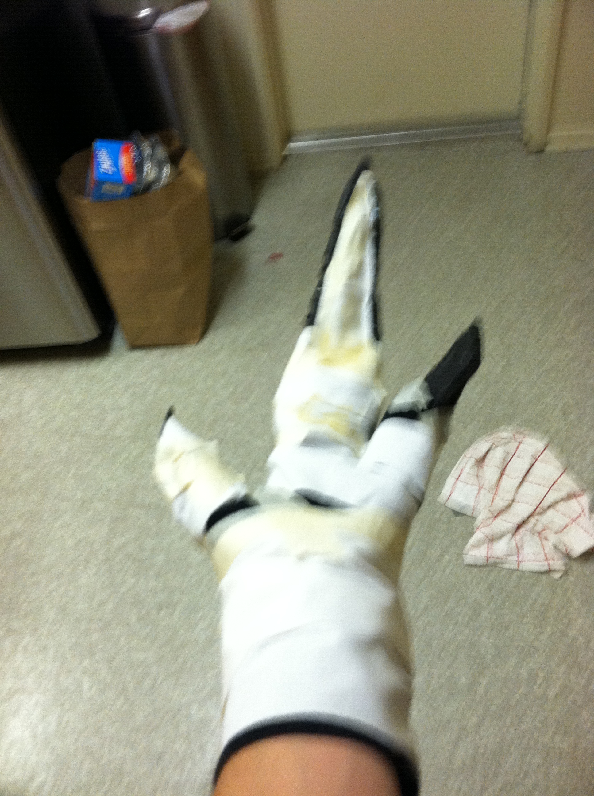 Picture 046.jpg